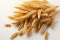 Wheats plump and textured grains stand out on a clean white surface