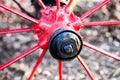 Wheel of antique horse drawn wagon Royalty Free Stock Photo