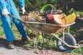 Wheel barrow with fire wood and lumberjack equipment. Royalty Free Stock Photo