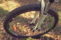 Wheel of a bicycle close-up protector in a forest in spring. Royalty Free Stock Photo