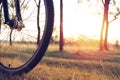 Wheel of a bicycle is lit by the setting sun against the background of the autumn forest. Autumn walk on a bicycle Royalty Free Stock Photo