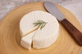 Wheel of brazilian traditional cheese Minas