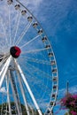 Wheel of Brisbane Royalty Free Stock Photo