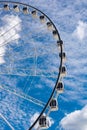 Wheel of Brisbane Royalty Free Stock Photo