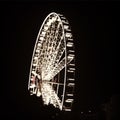 Wheel of Brisbane Royalty Free Stock Photo