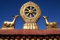 Wheel of dharma