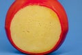 Wheel of fresh gouda cheese with a red rind on a blue monophonic background Royalty Free Stock Photo