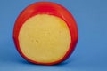 Wheel of fresh gouda cheese with a red rind on a blue monophonic background Royalty Free Stock Photo