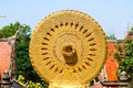 wheel of law or Dhammachakka is symbol teaching of Lord Buddha