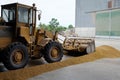 Wheel loader scoop the paddy in rice mill. Royalty Free Stock Photo