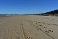 Wheel marks in a sandy beach leading towards horizon Royalty Free Stock Photo