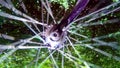 Wheel of an old bicycle in motion