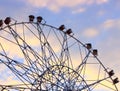 Wheel of review in the park on blue sky background Royalty Free Stock Photo