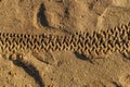 Wheel tires grooves in the golden beach sand Royalty Free Stock Photo