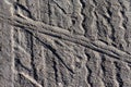 Wheel track on country road in the dust Royalty Free Stock Photo