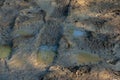 Wheel track on mud, Tire tracks on a muddy road Royalty Free Stock Photo