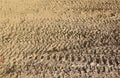 Wheel track on mud. Traces of a tractor or heavy off-road car on brown mud in wet meadow Royalty Free Stock Photo