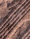 Wheel track of a 4x4 vehicle driving past the beach at sunset Royalty Free Stock Photo