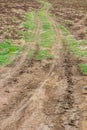 Wheel tracks of agricultural land Royalty Free Stock Photo