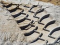 Wheel tracks on country road sand Royalty Free Stock Photo