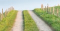 Wheel tracks on a dirt road to a Royalty Free Stock Photo