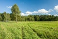 Wheel tracks on a green meadow Royalty Free Stock Photo