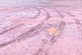 Wheel tracks in outdoor carpark after raining Royalty Free Stock Photo