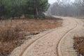 Wheel tracks on a sandy road Royalty Free Stock Photo