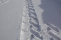 Wheel tracks in the snow, detail footprints tractor. Tractor footprints in the snow on a sunny day Royalty Free Stock Photo