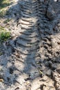 Wheel tracks on the soil. Tire in the sand or mud. Tire trace tracks car on a soil. Rural road in forest close up view. Off road d Royalty Free Stock Photo