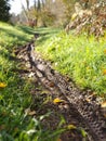 Wheel tracks in a trail