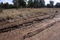 Wheel tracks where a car has been bogged in mud Royalty Free Stock Photo