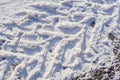 Wheel tracks on the winter road covered with snow in a sunny day Royalty Free Stock Photo