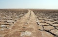 Road in salt flat polygons