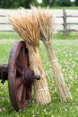 Wheel of wooden cart and sheaves of wheat ears. Royalty Free Stock Photo