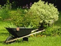 Wheelbarrel and garden Royalty Free Stock Photo