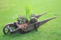 Wheelbarrow Royalty Free Stock Photo