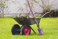 Wheelbarrow in the backyard, green lawn, shovel, uprooted weeds, garden work Royalty Free Stock Photo