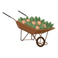 Wheelbarrow brown with red flowers and green leaves. Garden tool vector equipment side view