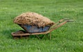 Wheelbarrow with cattle manure