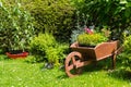 Wheelbarrow decoration in the garden