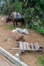 Wheelbarrow and a donkey of a roadside seller along La Farola road between Guantanamo and Baracoa, Cu Royalty Free Stock Photo