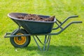 Wheelbarrow filled with cow manure on lawn