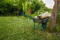 Wheelbarrow with firewood on green grass lawn in a farm garden. Gardening Tools. Royalty Free Stock Photo