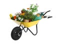 Wheelbarrow with flowers and gardening tools on white