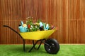 Wheelbarrow with flowers and gardening tools near wooden wall Royalty Free Stock Photo