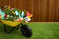 Wheelbarrow with flowers and gardening tools near wooden wall Royalty Free Stock Photo