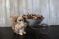 A wheelbarrow full of acorns and a happy squirrel Royalty Free Stock Photo
