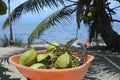 Wheelbarrow full of coconuts