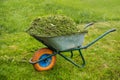 Wheelbarrow full of grass. Garden and lawn care theme. Care services area